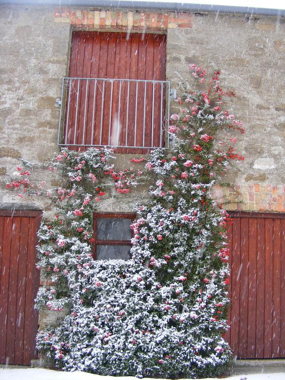 Ballyhargan Farm House Dungiven Extérieur photo