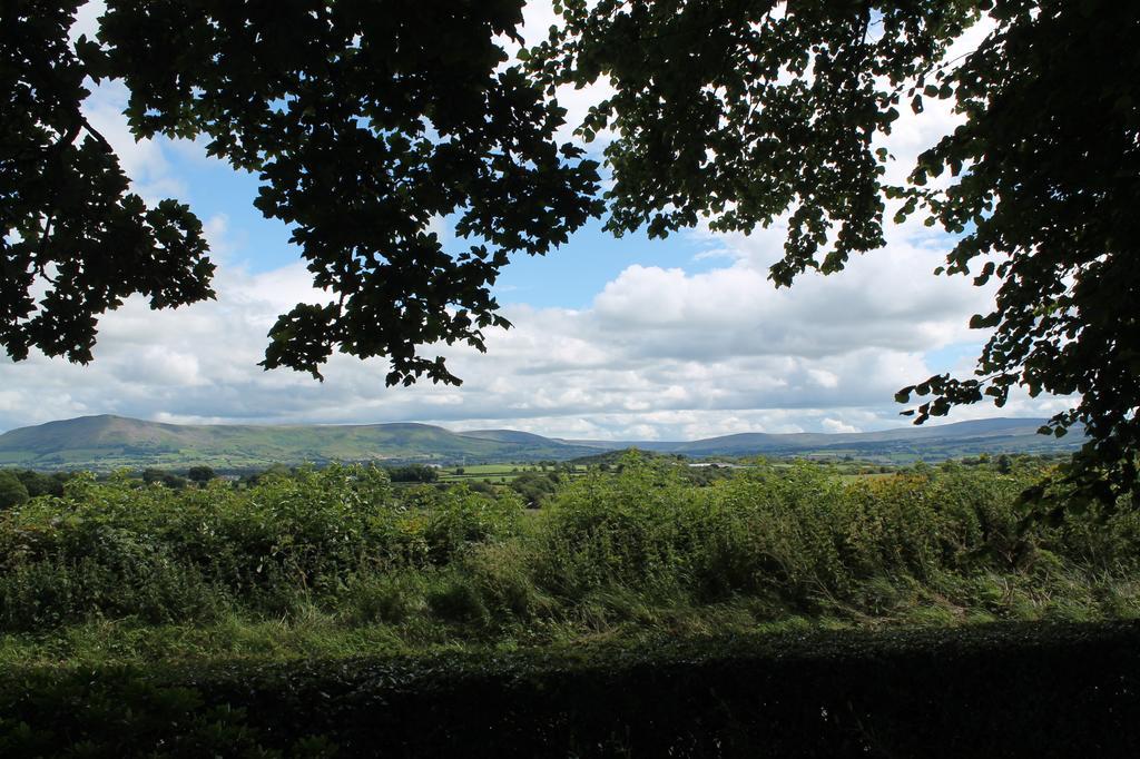 Ballyhargan Farm House Dungiven Extérieur photo