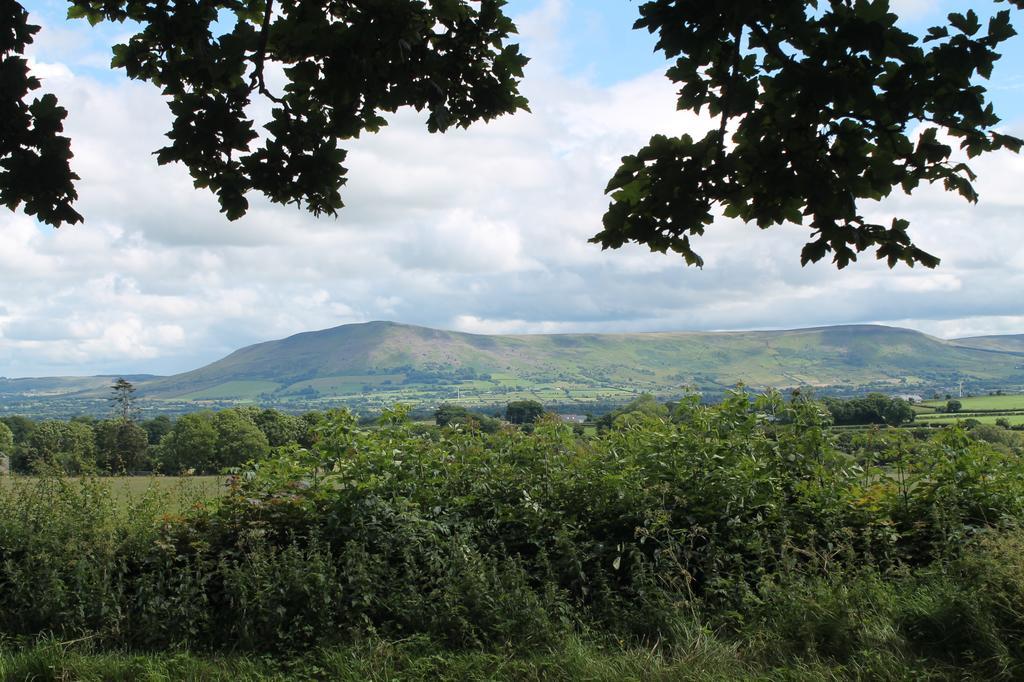 Ballyhargan Farm House Dungiven Extérieur photo